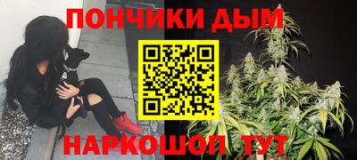 дурь Пугачёв
