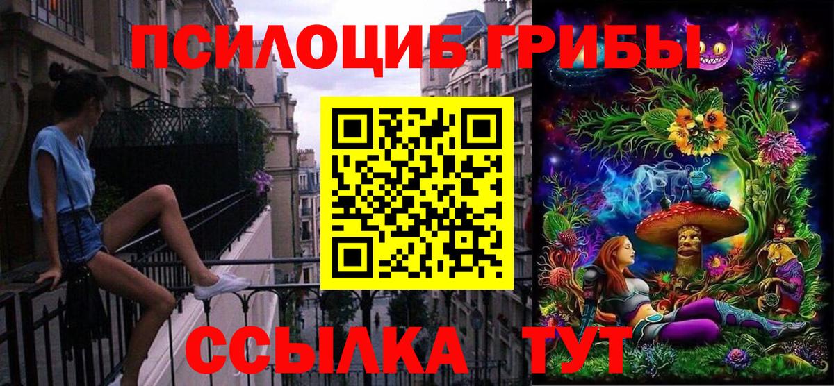 Псилоцибиновые грибы Psilocybe Реутов
